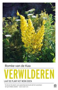 VERWILDEREN