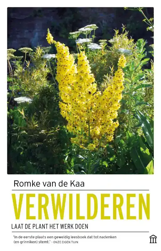 VERWILDEREN