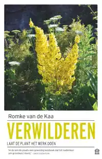 VERWILDEREN