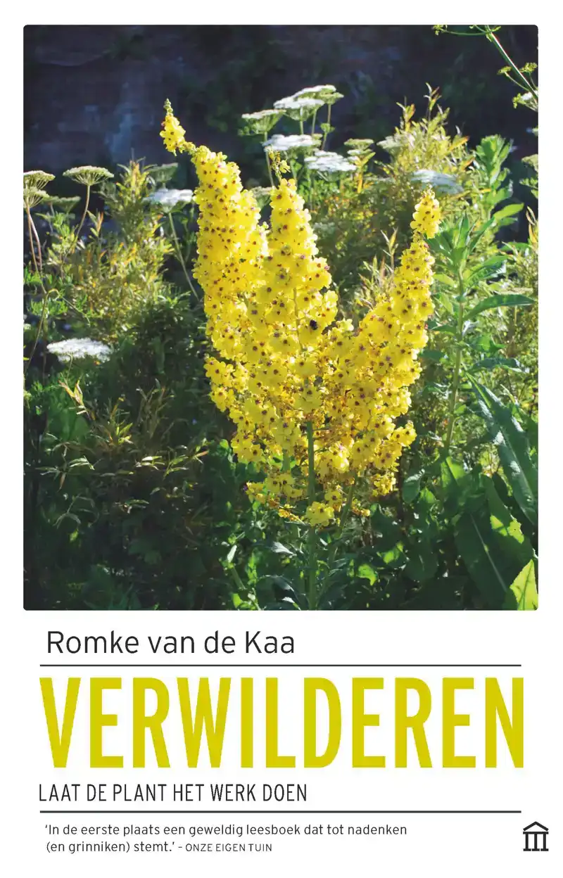 VERWILDEREN