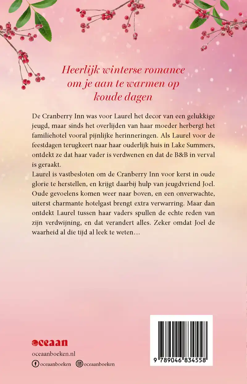 WINTER IN DE CRANBERRY INN