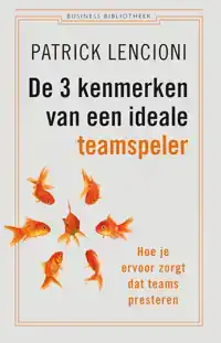 DE 3 KENMERKEN VAN EEN IDEALE TEAMSPELER