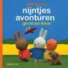 NIJNTJES AVONTUREN GROOT EN KLEIN