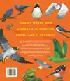 ALLES WAT JE WEET OVER VOGELS IS FOUT!