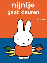 NIJNTJE GAAT KLEUREN