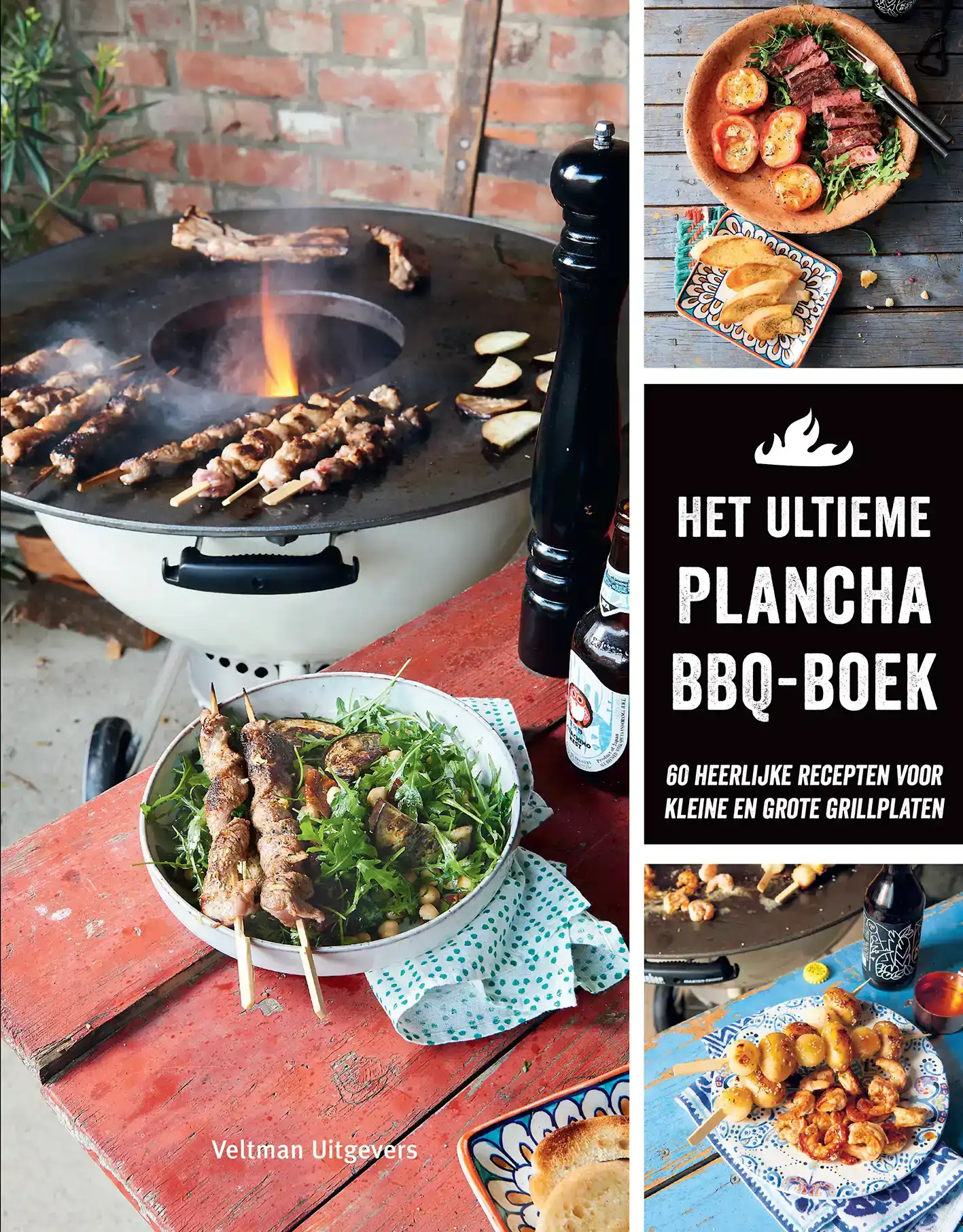 HET ULTIEME PLANCHA BBQ BOEK