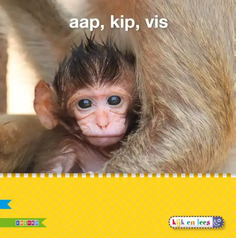 AAP, KIP, VIS
