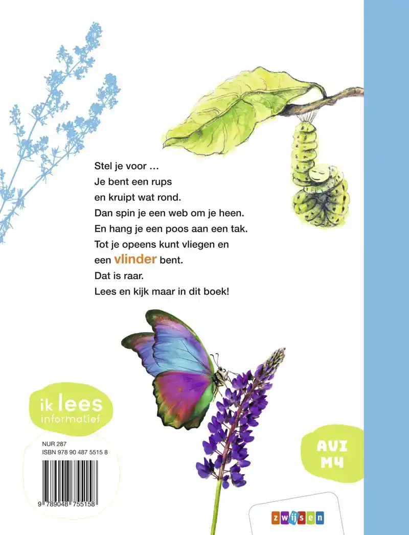 HA RUPS, HE VLINDER!