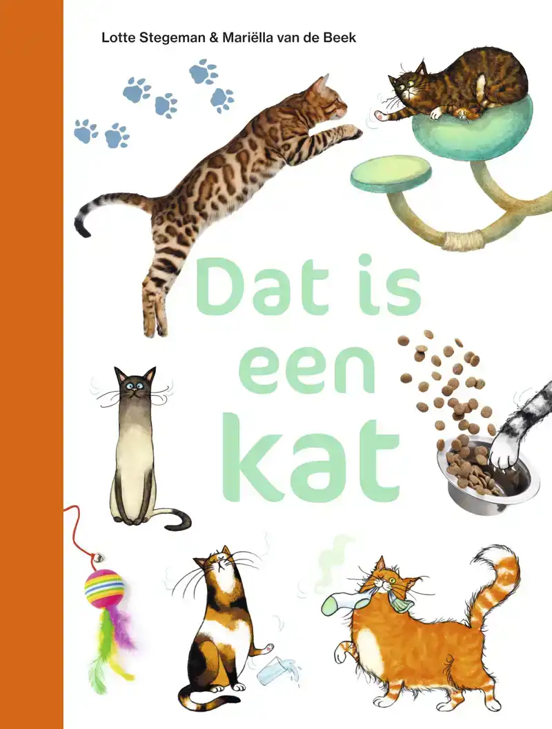 DAT IS EEN KAT