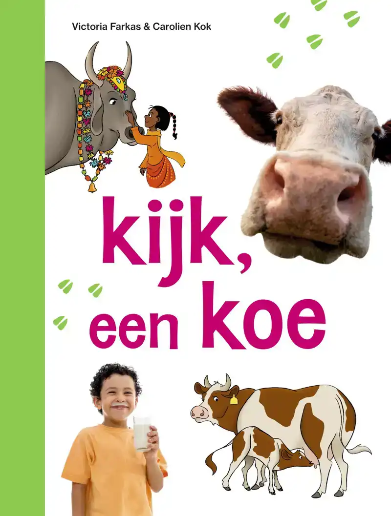 KIJK, EEN KOE
