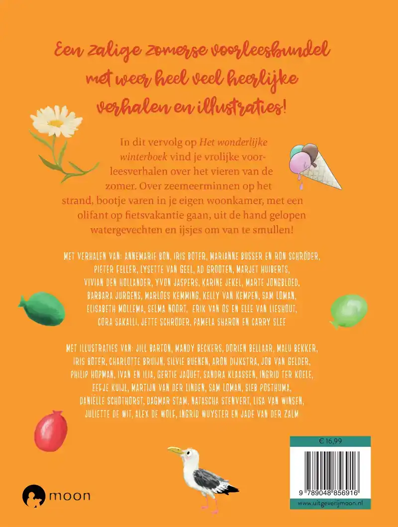 HET ZONNIGE ZOMERBOEK