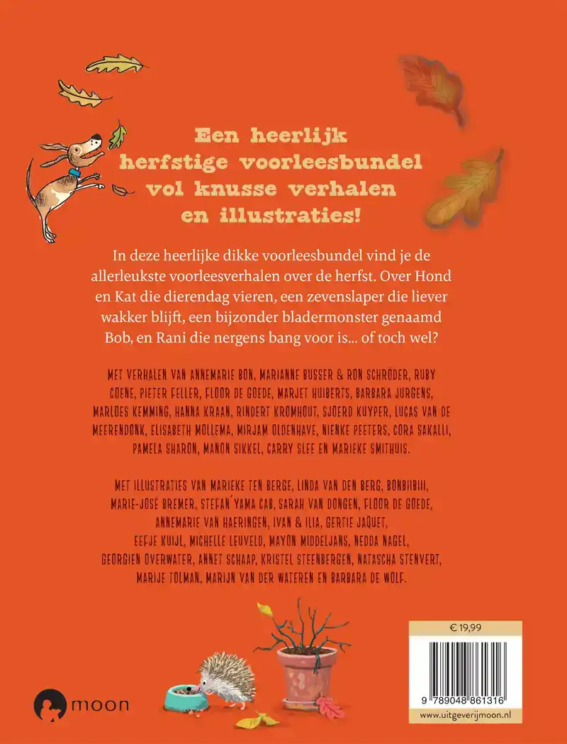 HET HEERLIJKE HERFSTBOEK
