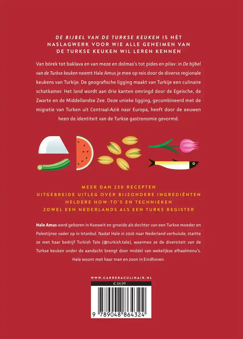 DE BIJBEL VAN DE TURKSE KEUKEN
