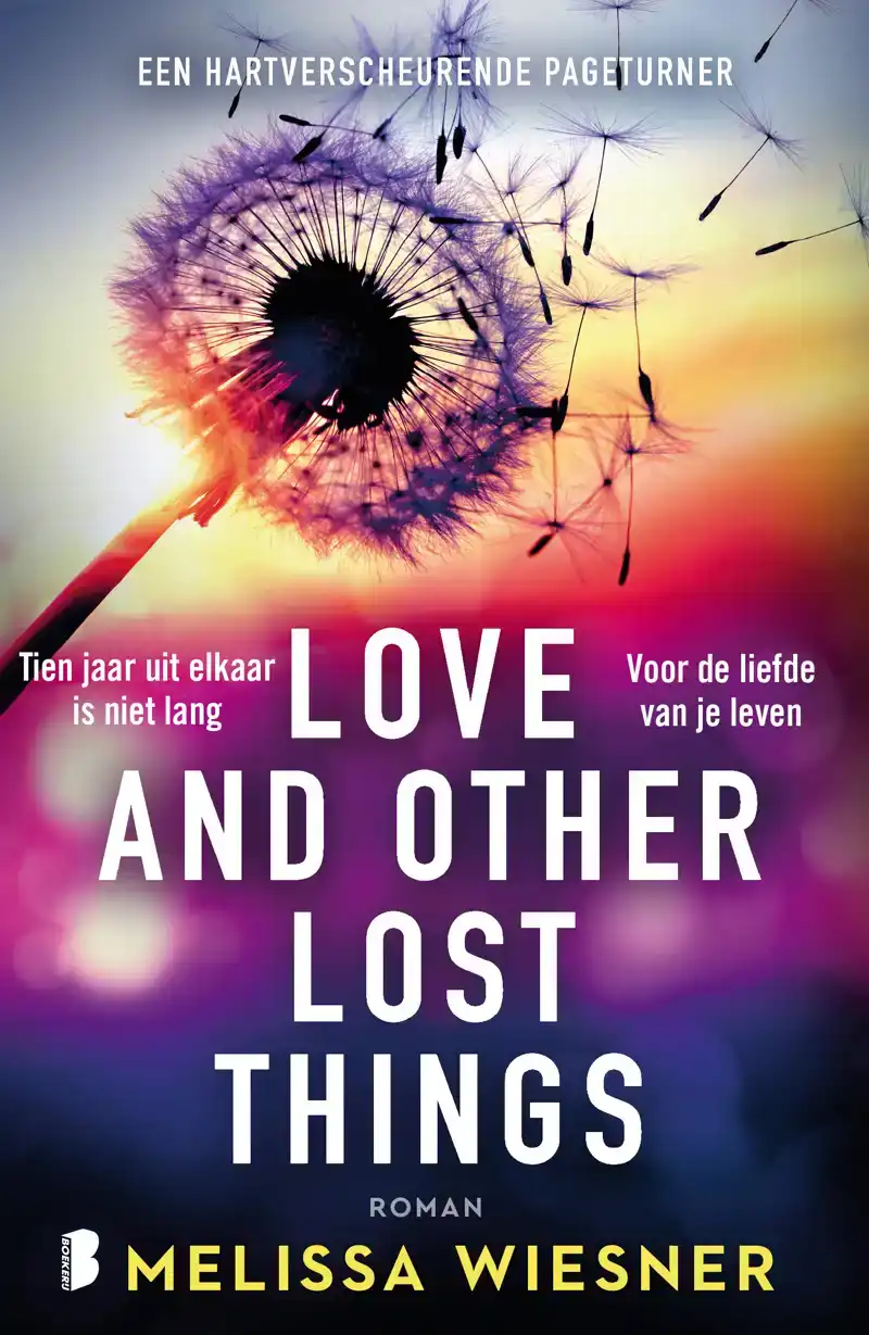 LOVE AND OTHER LOST THINGS