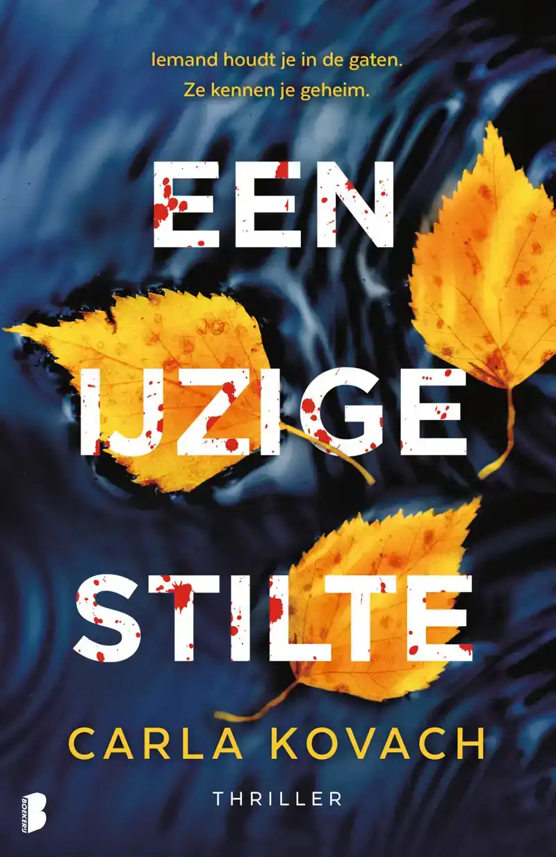 EEN IJZIGE STILTE