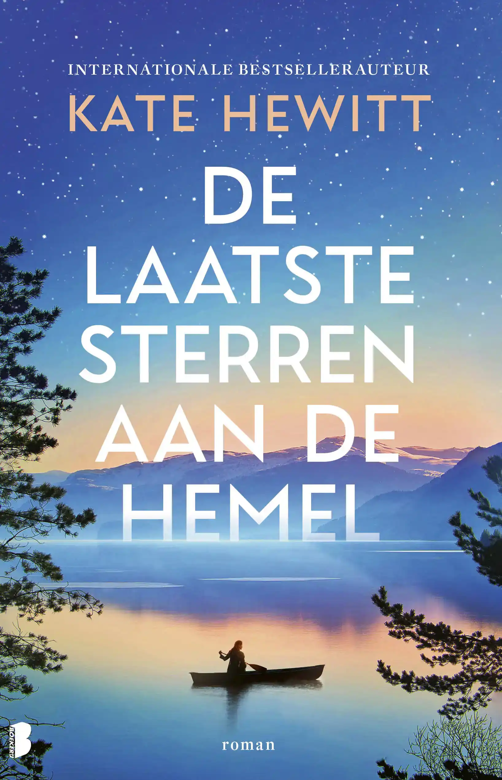 DE LAATSTE STERREN AAN DE HEMEL
