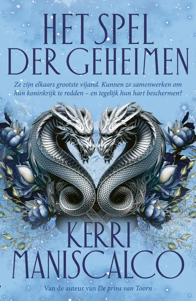 HET SPEL DER GEHEIMEN