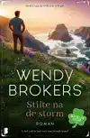 STILTE NA DE STORM