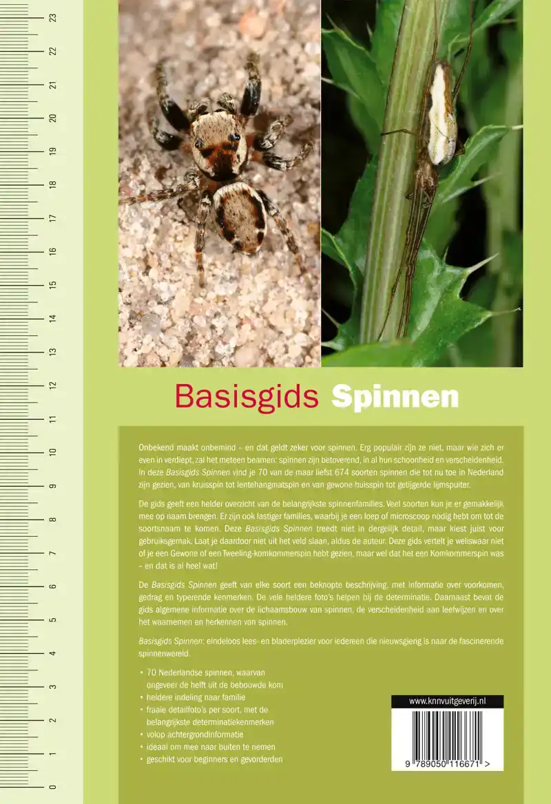 BASISGIDS SPINNEN