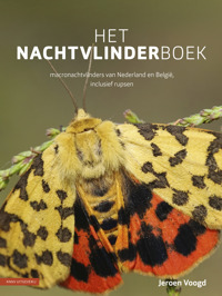 HET NACHTVLINDERBOEK