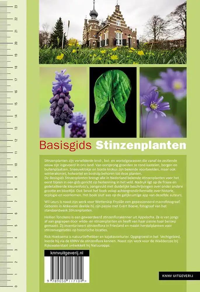 BASISGIDS STINZENPLANTEN