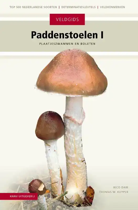 PADDENSTOELEN I
