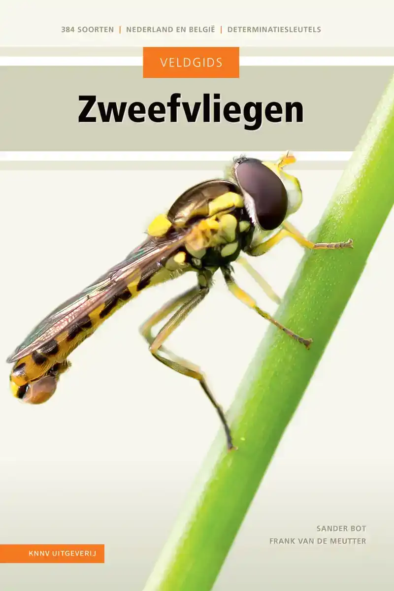 VELDGIDS ZWEEFVLIEGEN
