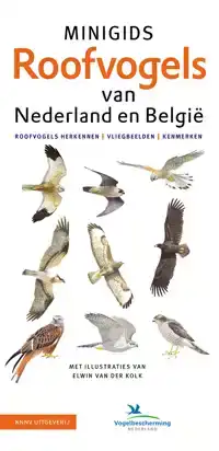 SET MINIGIDS ROOFVOGELS VAN NEDERLAND EN BELGIE