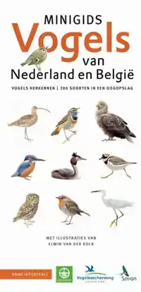 SET MINIGIDS VOGELS VAN NEDERLAND EN BELGIE