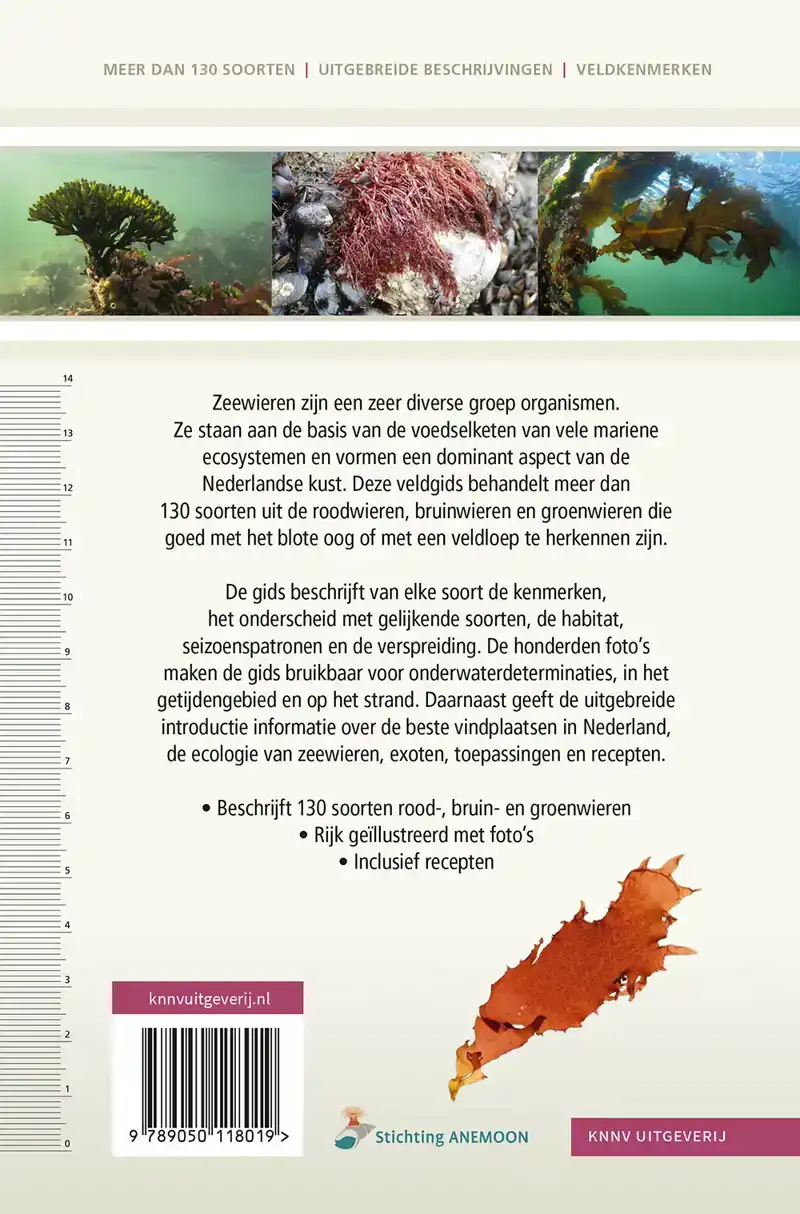 VELDGIDS ZEEWIEREN