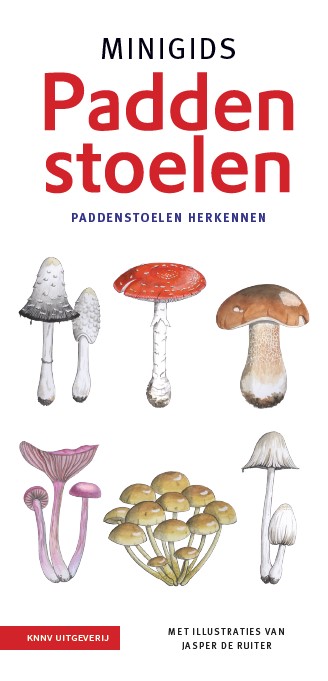 MINIGIDS PADDENSTOELEN SET