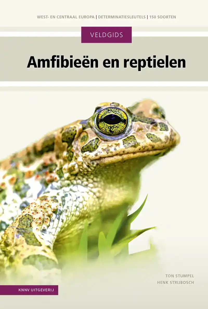 AMFIBIEEN EN REPTIELEN