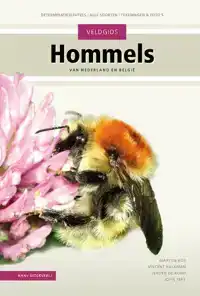 VELDGIDS HOMMELS