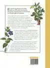 BOTANICUM MEDICINALE