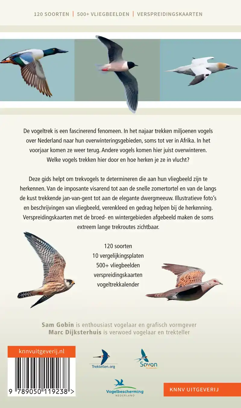 VOGELTREK IN BEELD