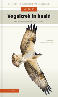 VOGELTREK IN BEELD