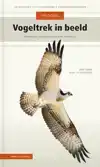 VOGELTREK IN BEELD