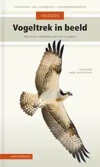 VOGELTREK IN BEELD