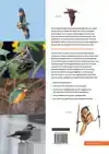 HANDBOEK VOGELS VAN NEDERLAND