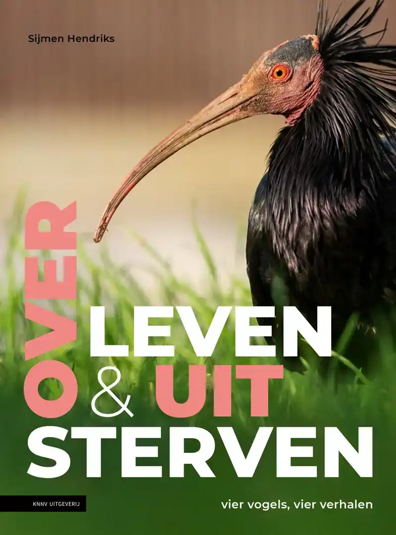 OVER LEVEN EN UITSTERVEN