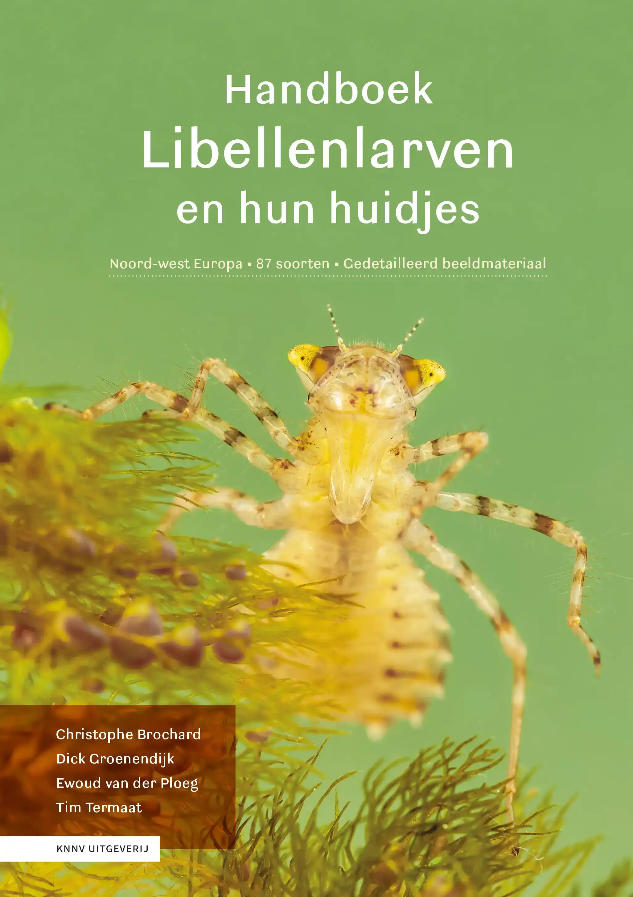 LIBELLENLARVEN EN HUN HUIDJES