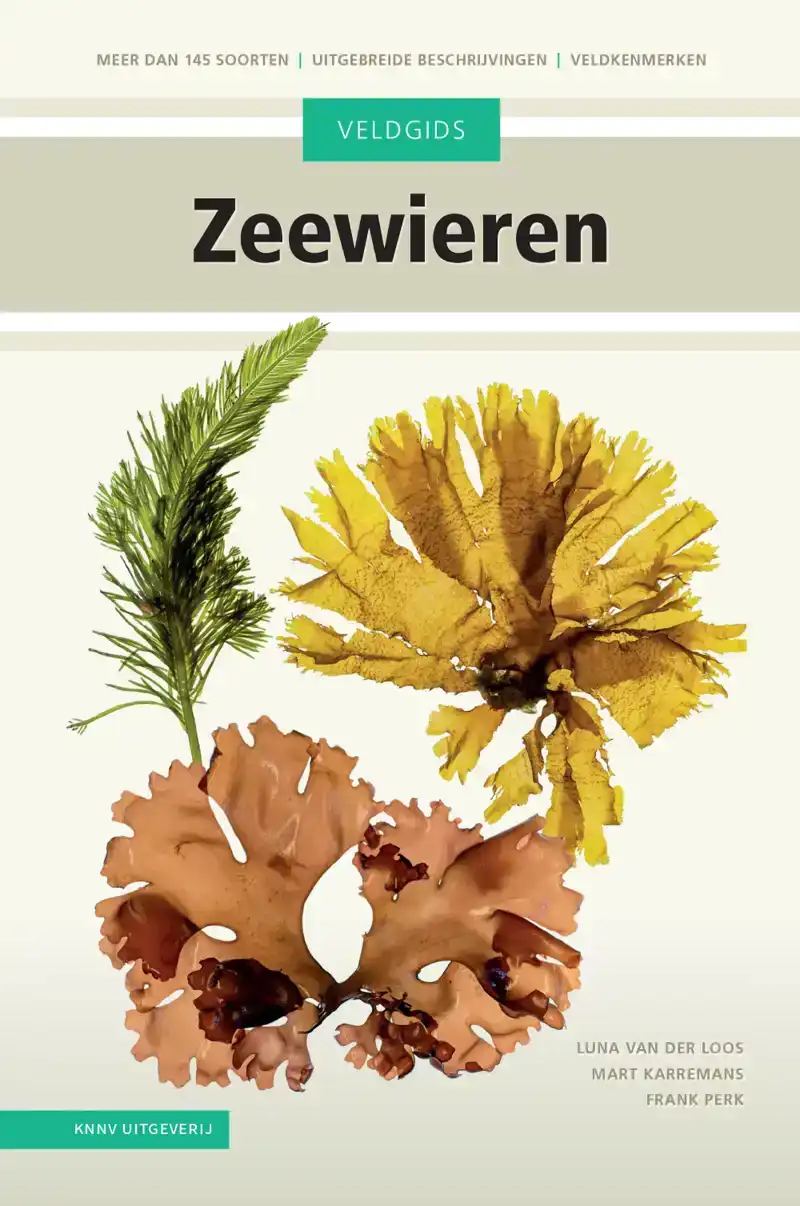 VELDGIDS ZEEWIEREN