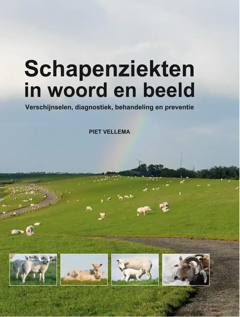SCHAPENZIEKTEN IN WOORD EN BEELD