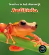 AMFIBIEEN