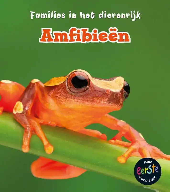 AMFIBIEEN