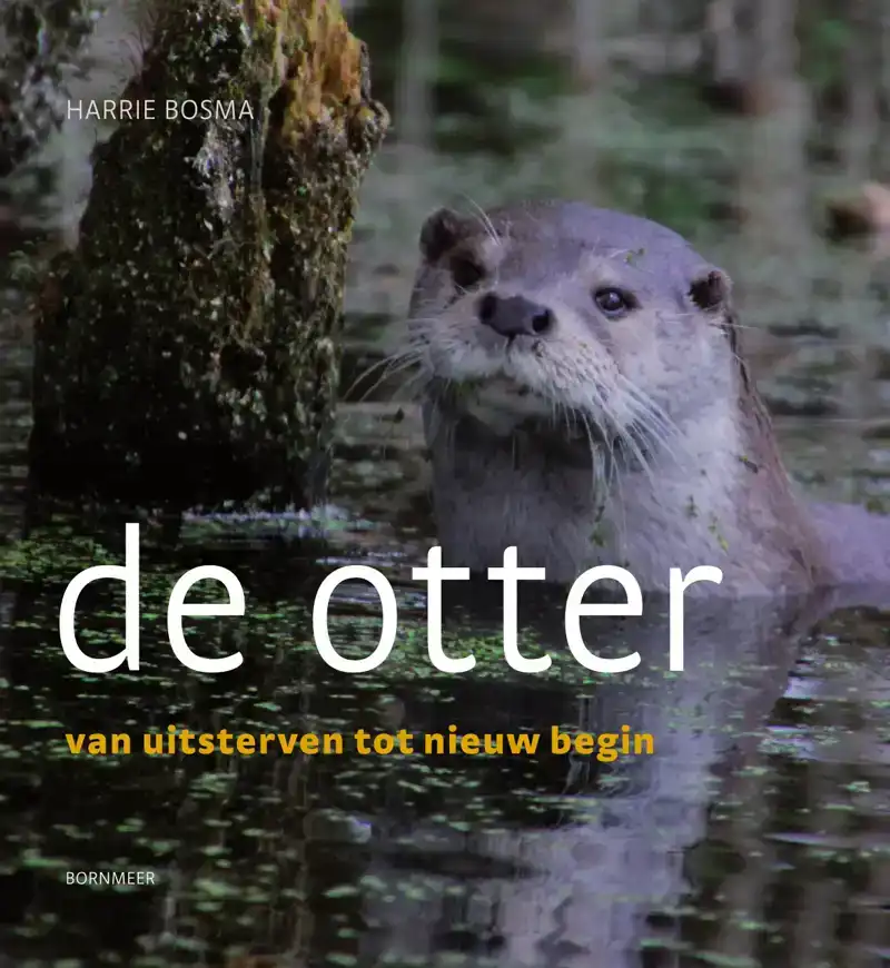DE OTTER