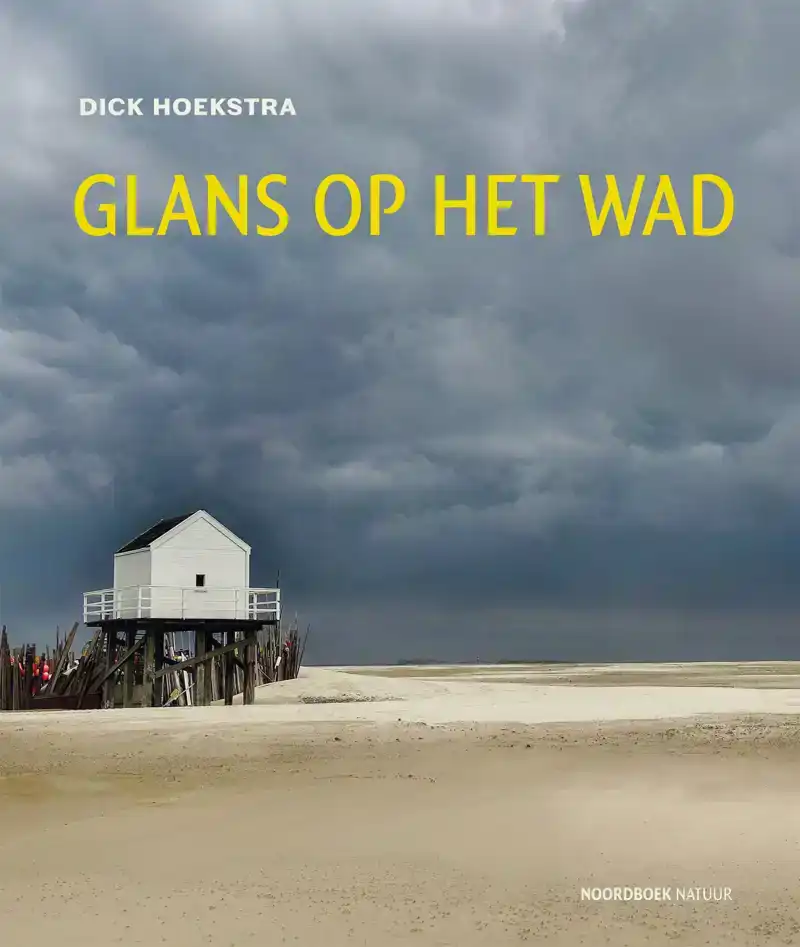 GLANS OP HET WAD