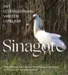 SINAGOTE