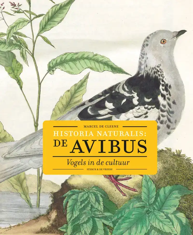 HISTORIA NATURALIS: DE AVIBUS