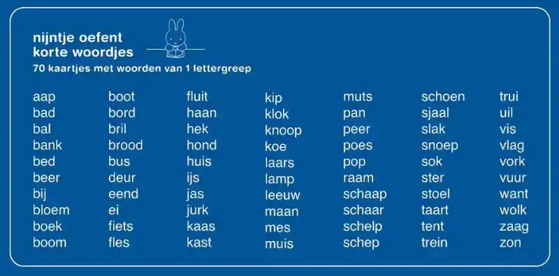 OEFENKAARTJES NIJNTJE OEFENT KORTE WOORDJES